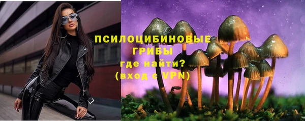 PSILOCYBIN Баксан