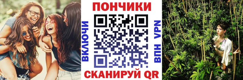 Бошки марихуана тримм  хочу наркоту  Венёв 